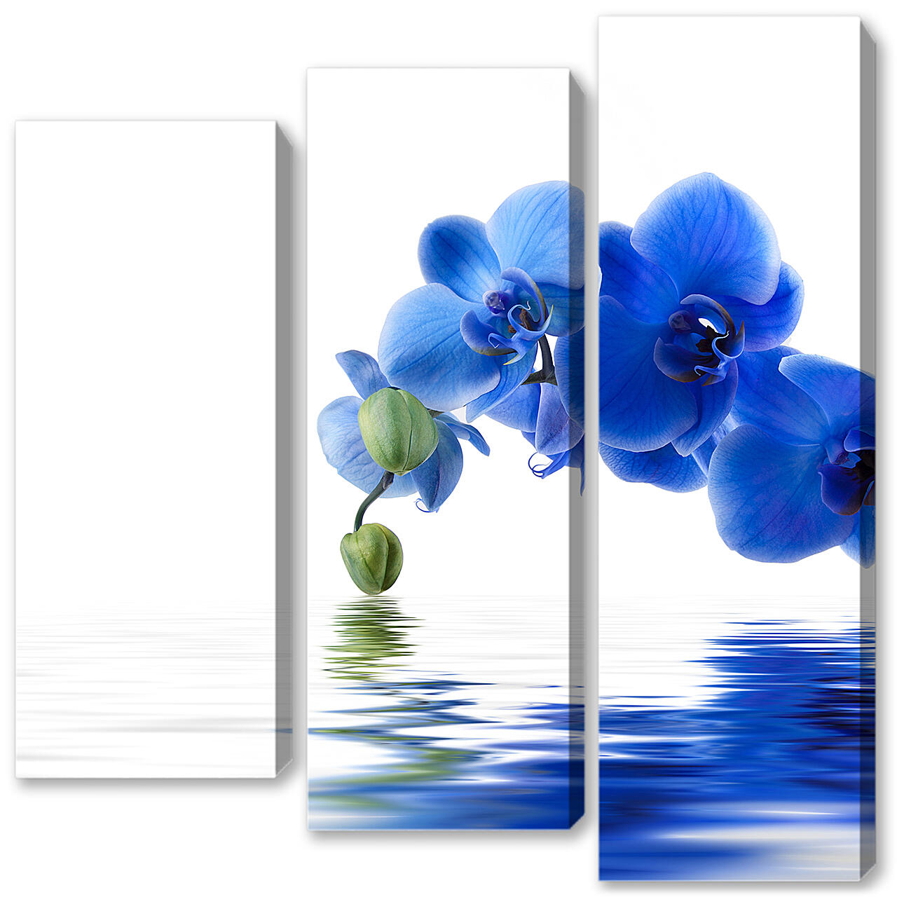 Модульная картина - Синяя орхидея
