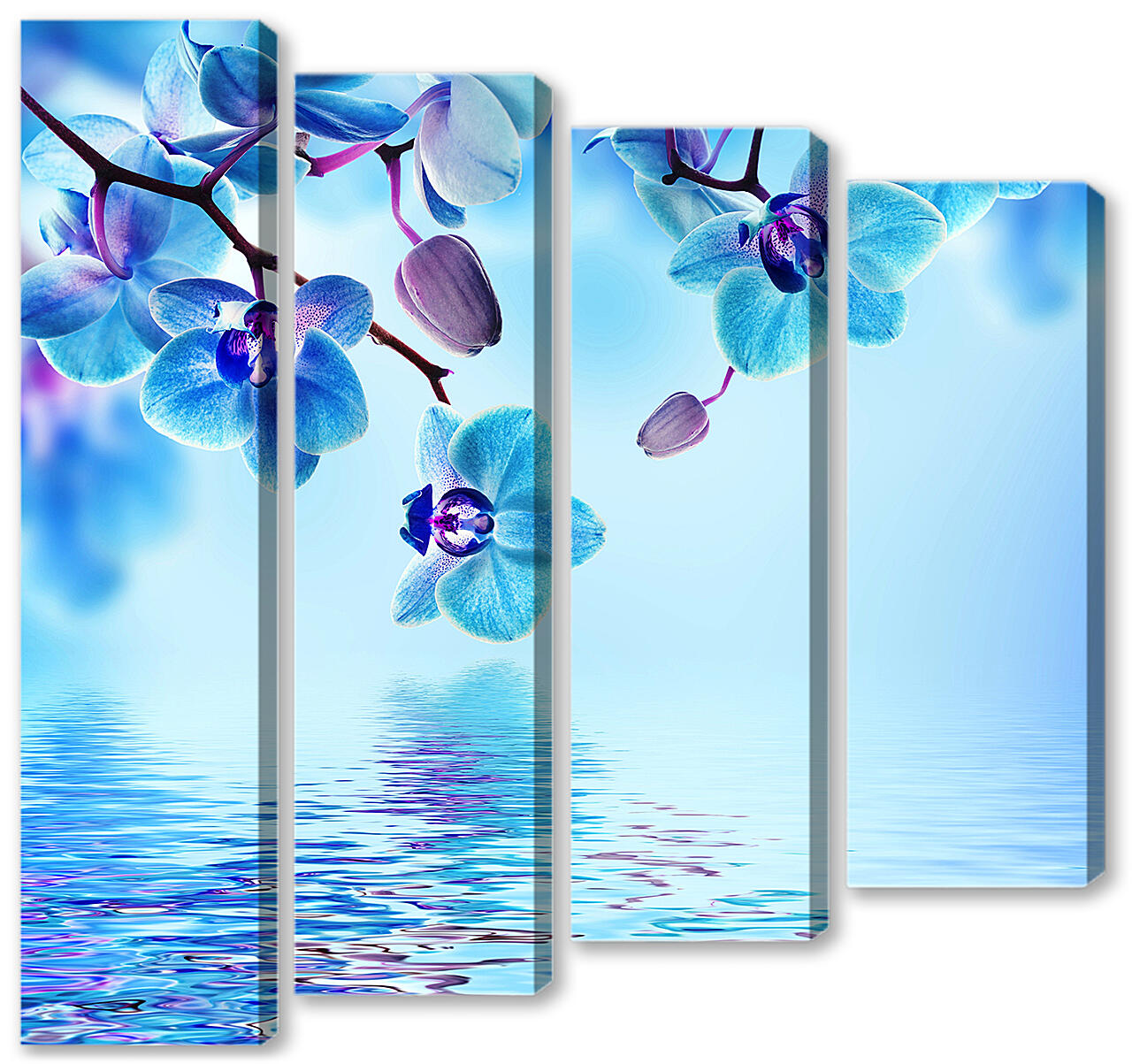 Модульная картина - Голубая орхидея над водой

