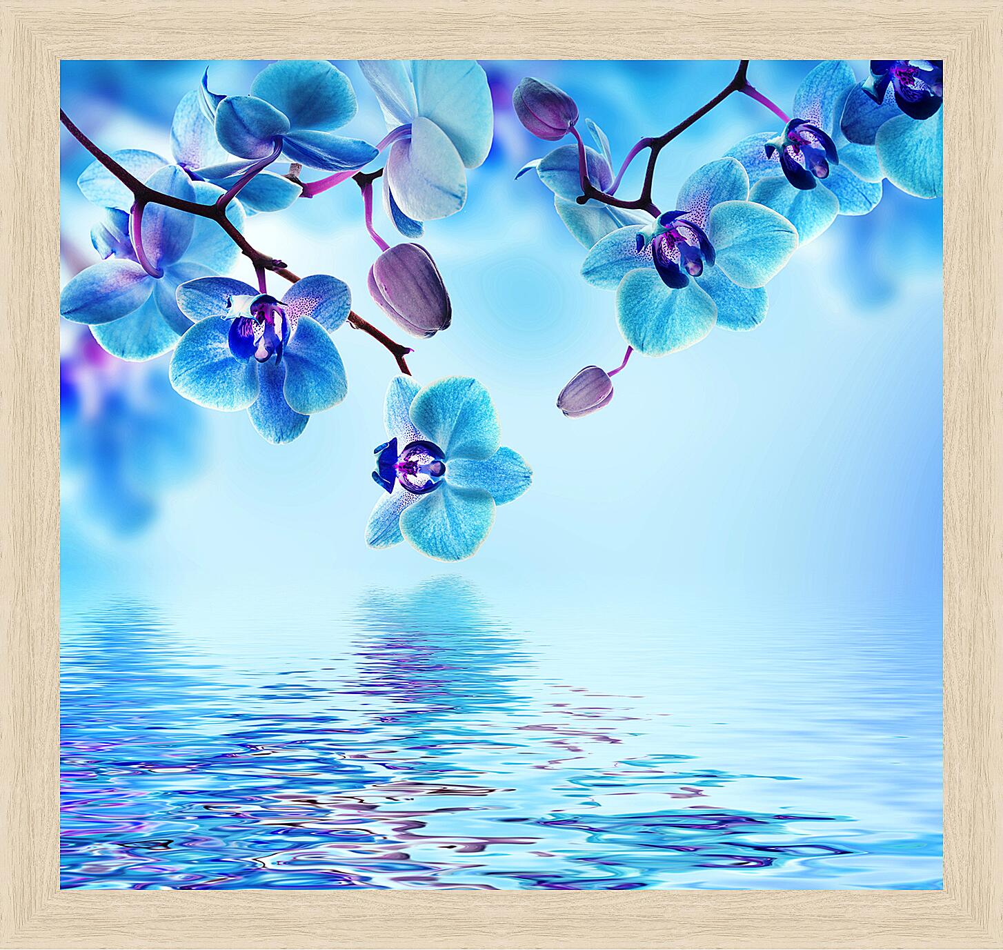 Картина - Голубая орхидея над водой
