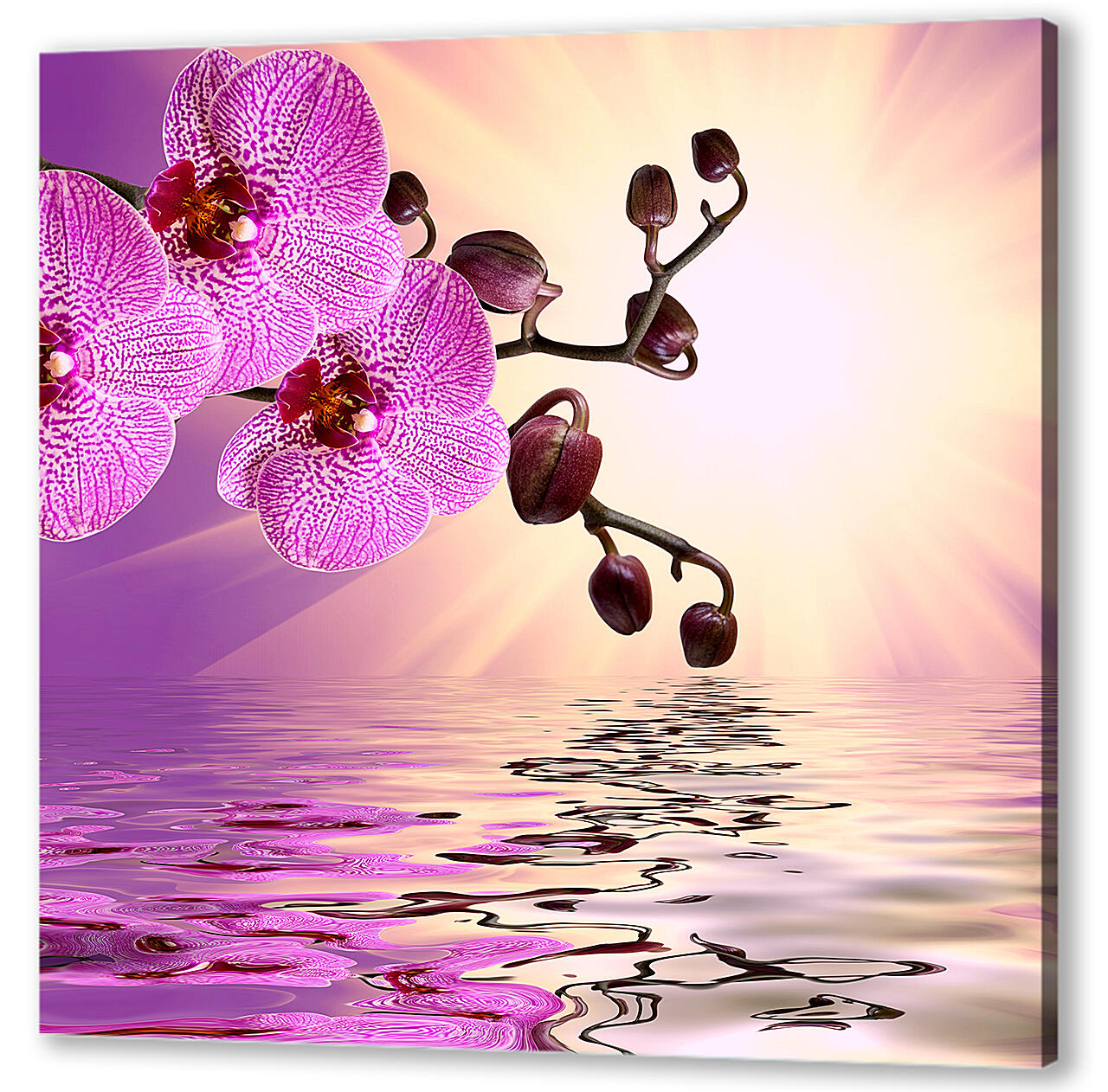 Картина маслом - Розовая орхидея над водой
