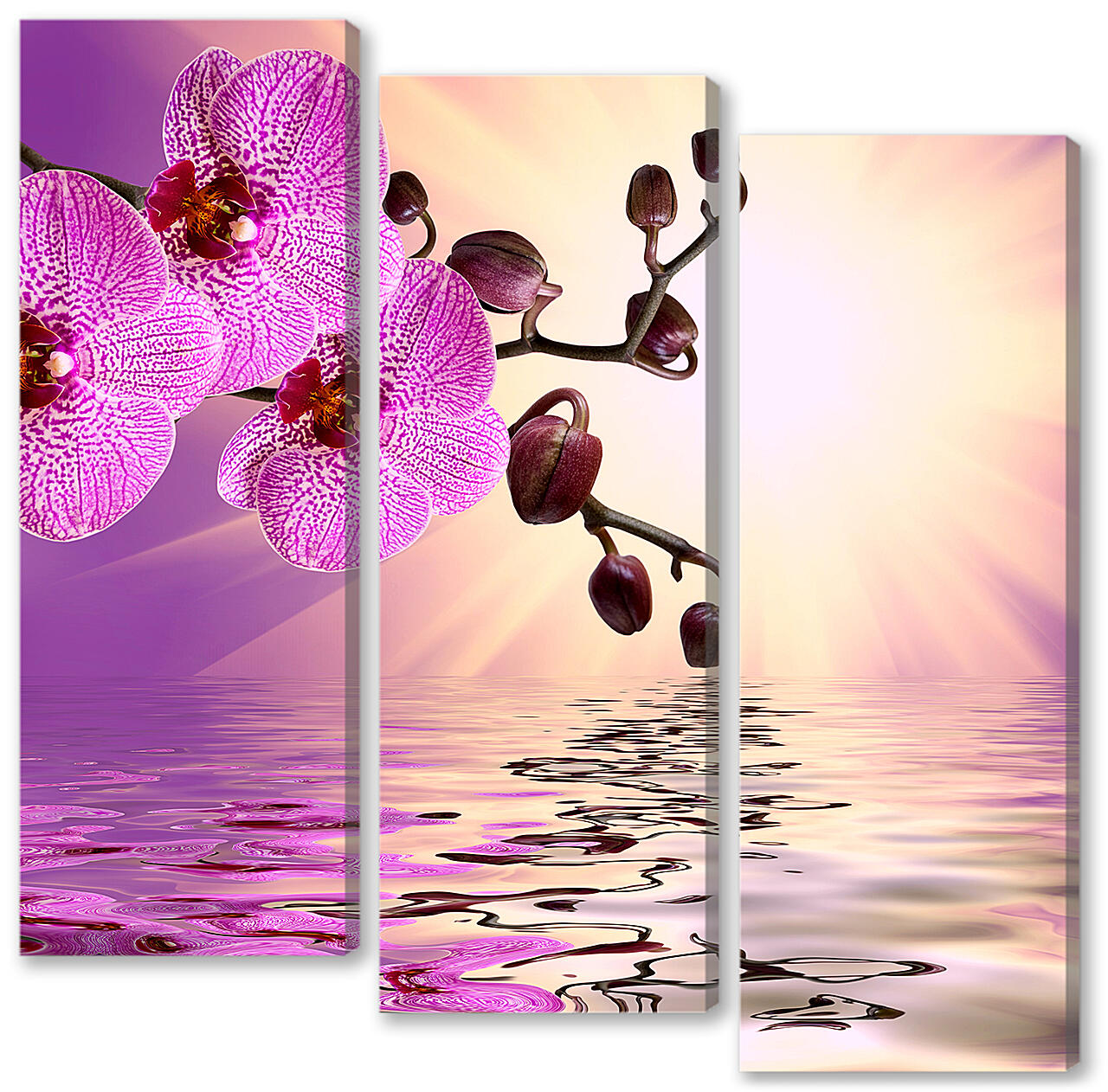 Модульная картина - Розовая орхидея над водой

