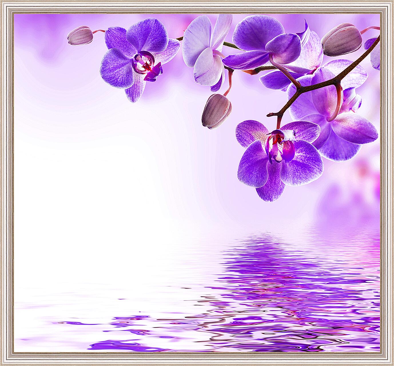 Картина - Фиолетовые орхидеи
