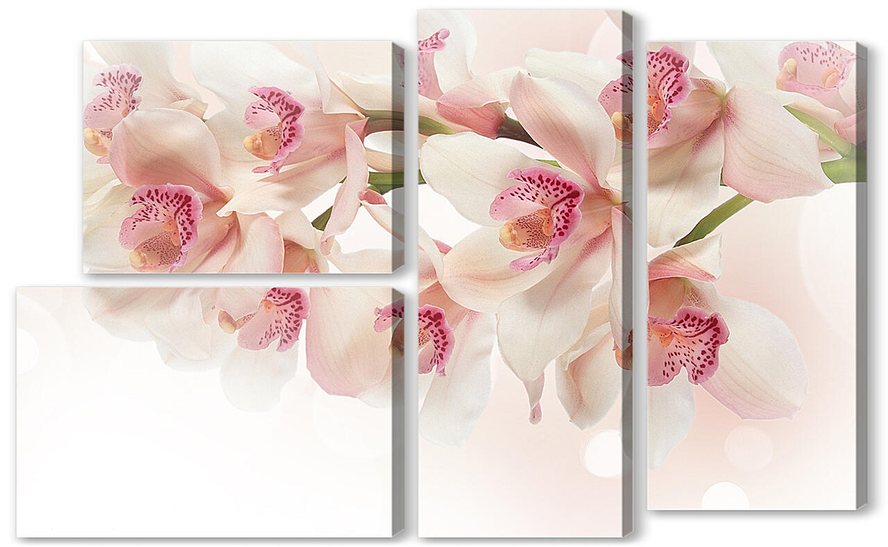 Модульная картина - Белые орхидеи
