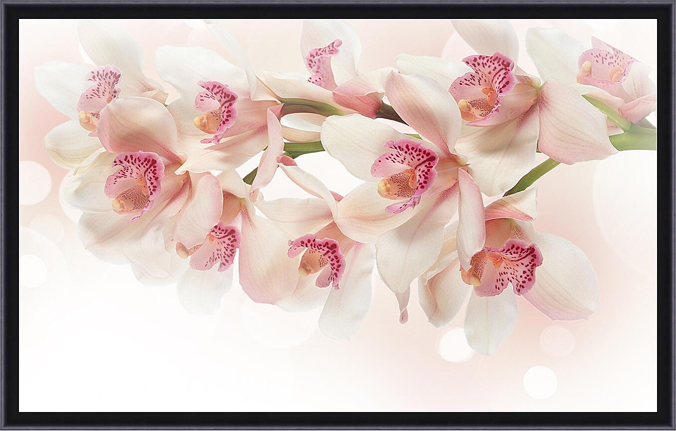 Картина - Белые орхидеи
