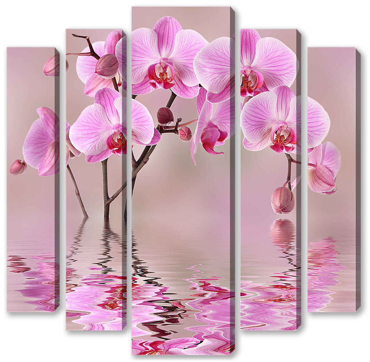 Модульная картина - Орхидеи над водой

