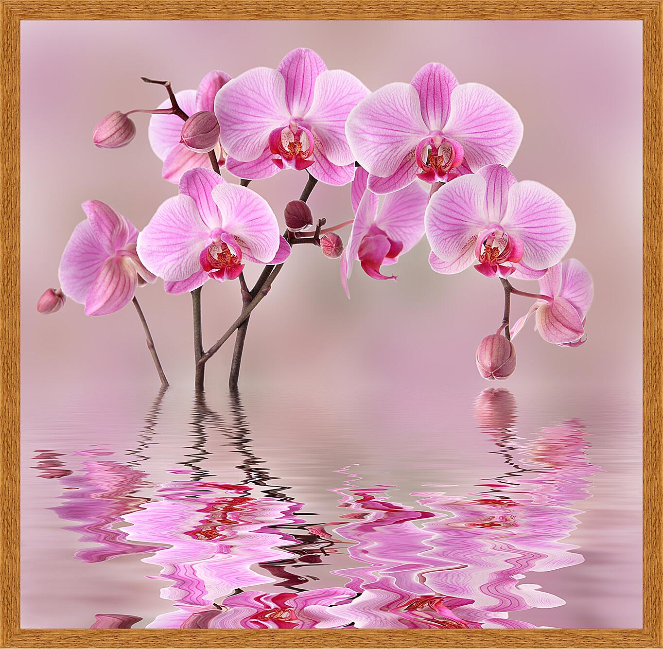 Картина - Орхидеи над водой
