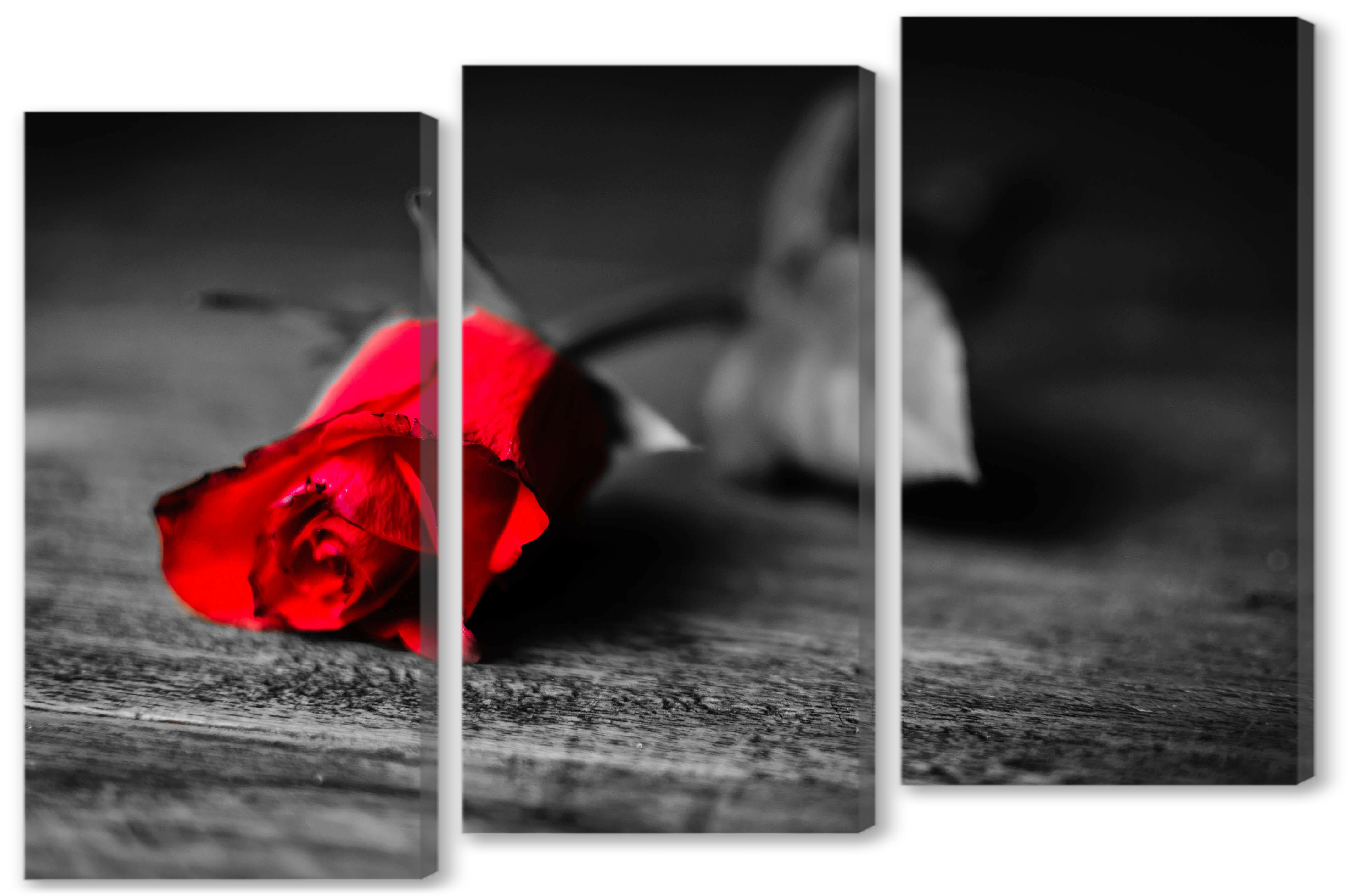 Модульная картина - Красная роза 
