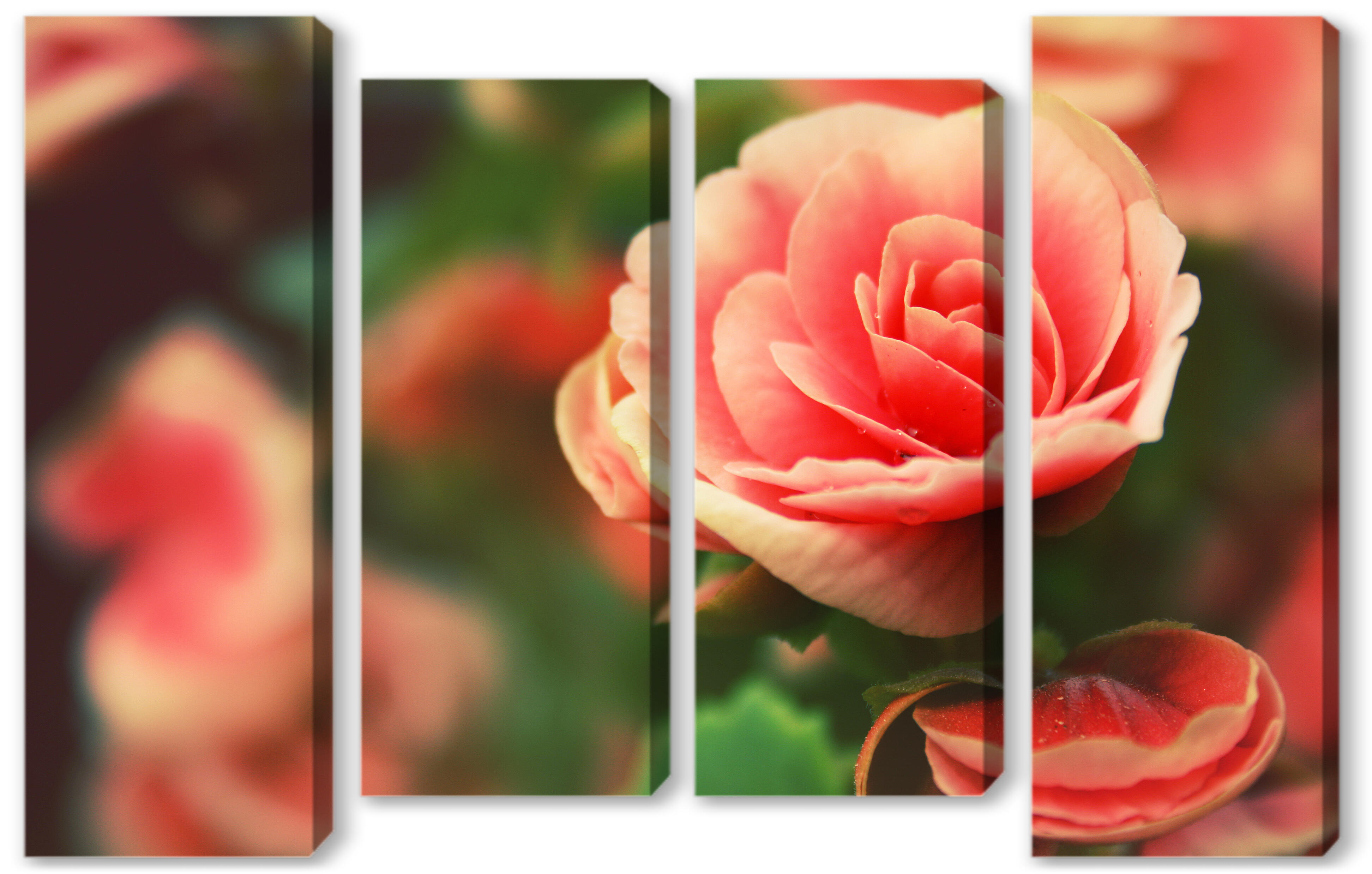 Модульная картина - Роза 
