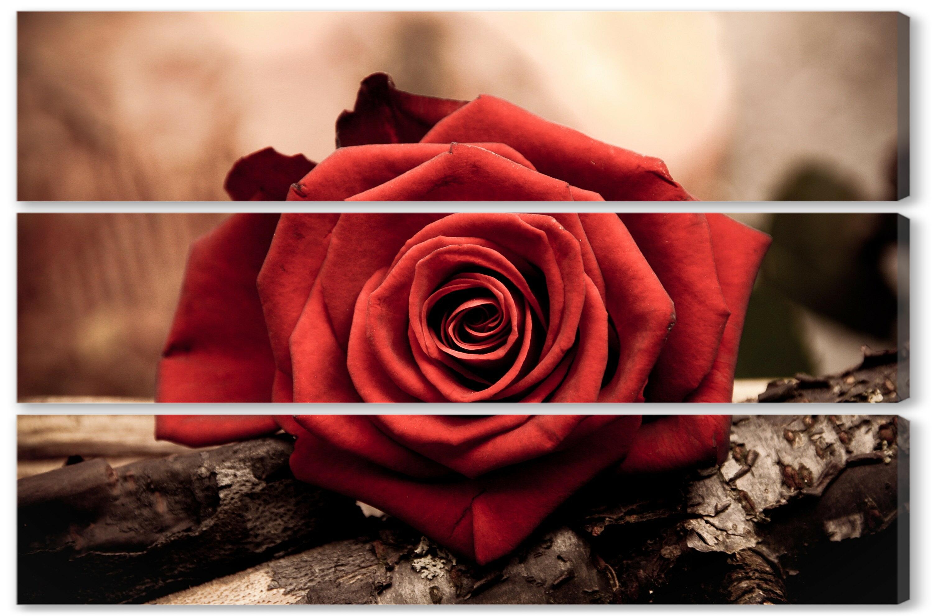 Модульная картина - Роза на дереве 
