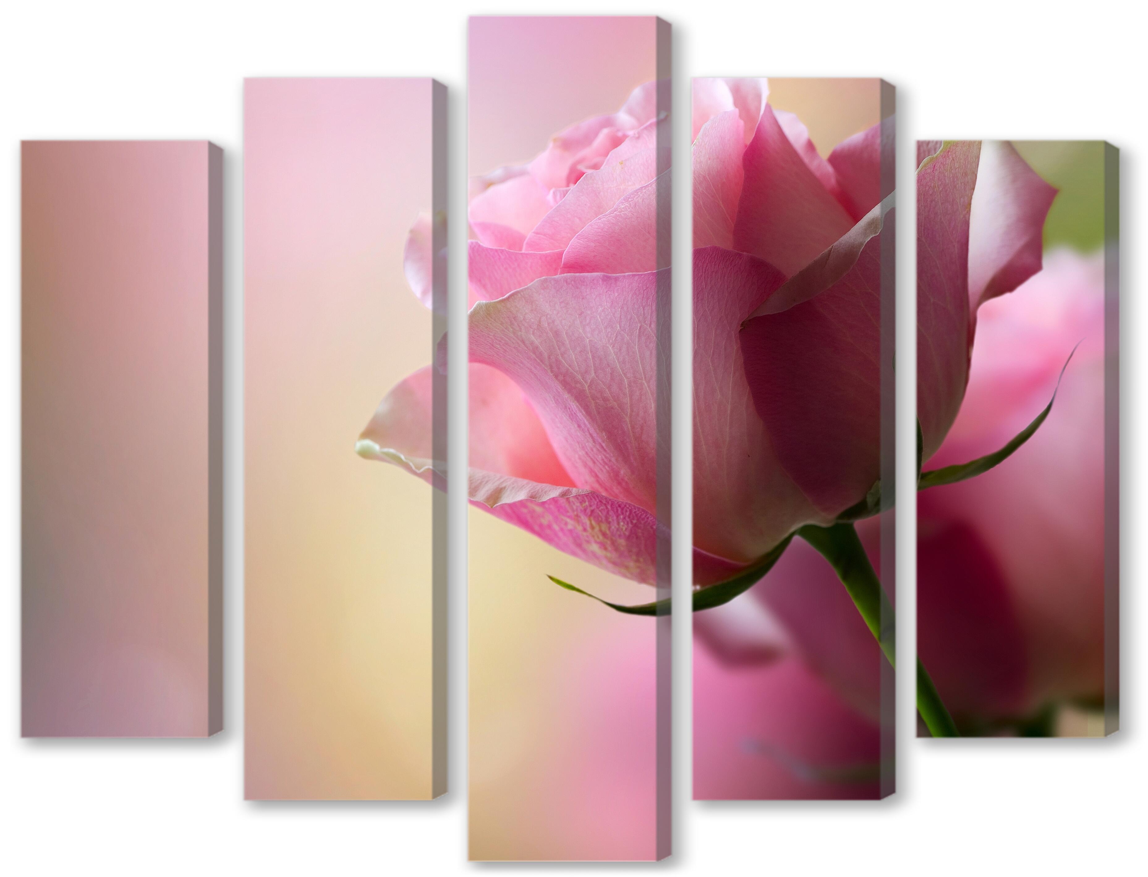 Модульная картина - Розовая роза 
