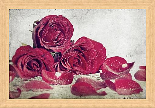 Картина - Розы в инее