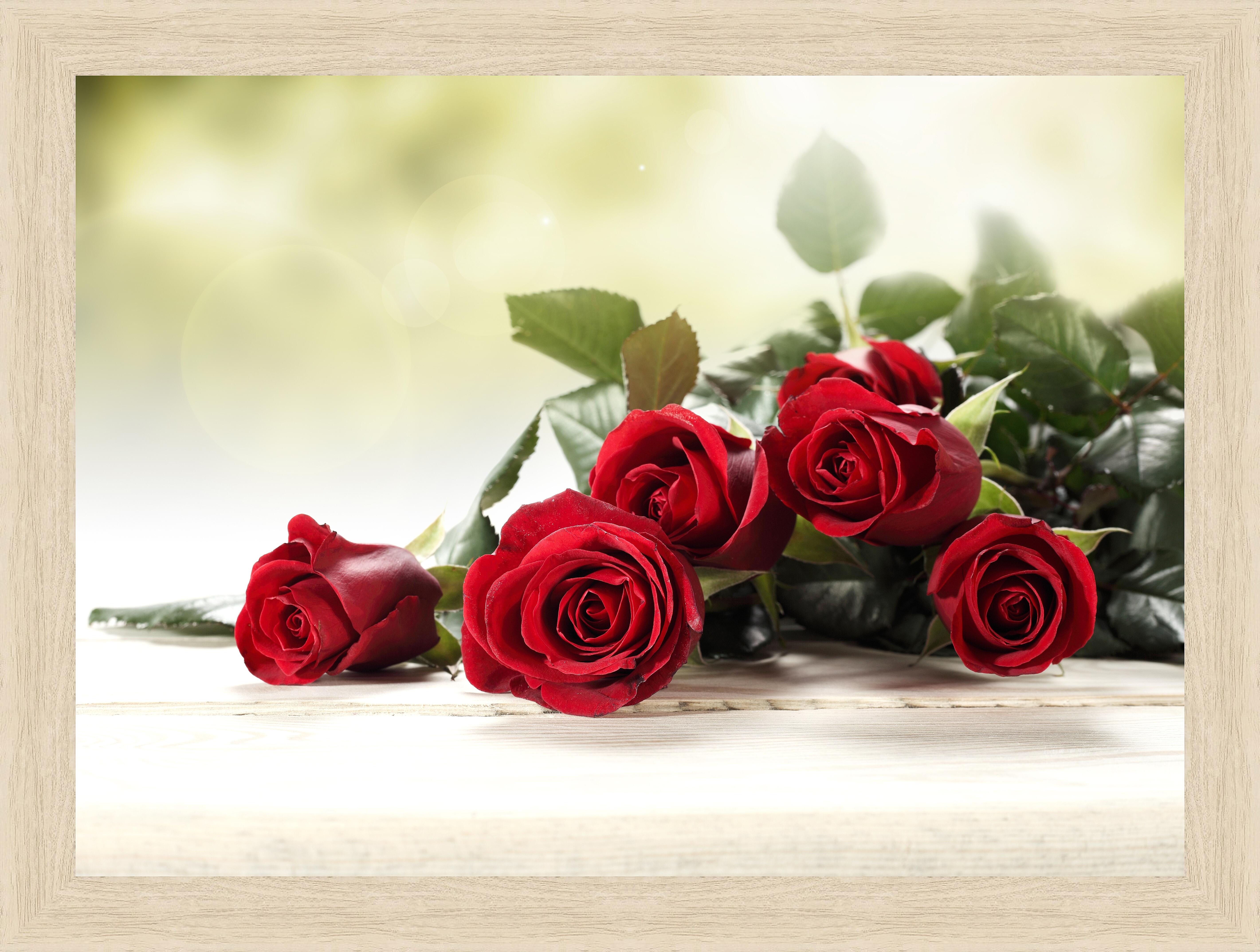 Картина - Красные розы 
