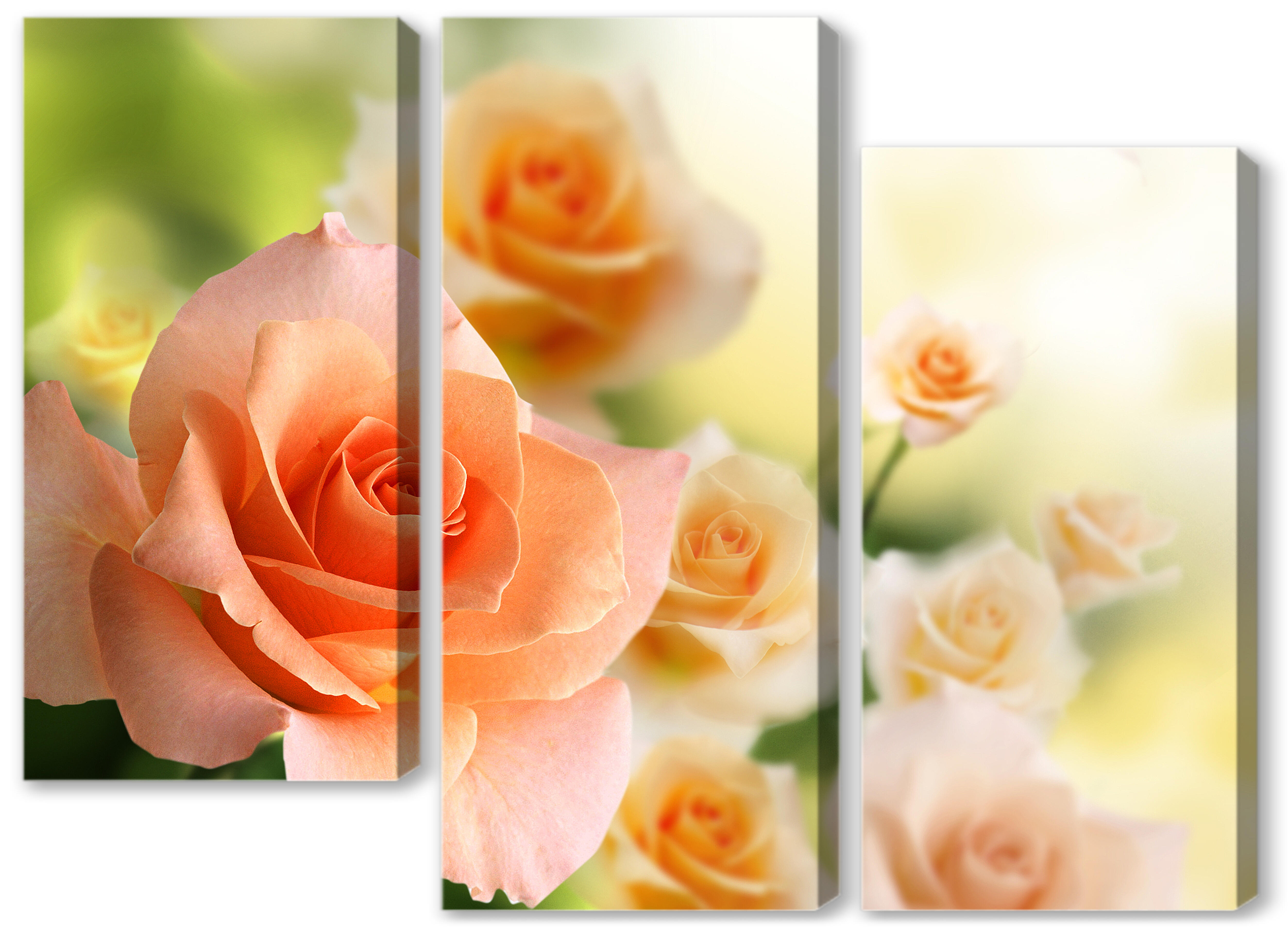 Модульная картина - Нежно-оранжевые розы 
