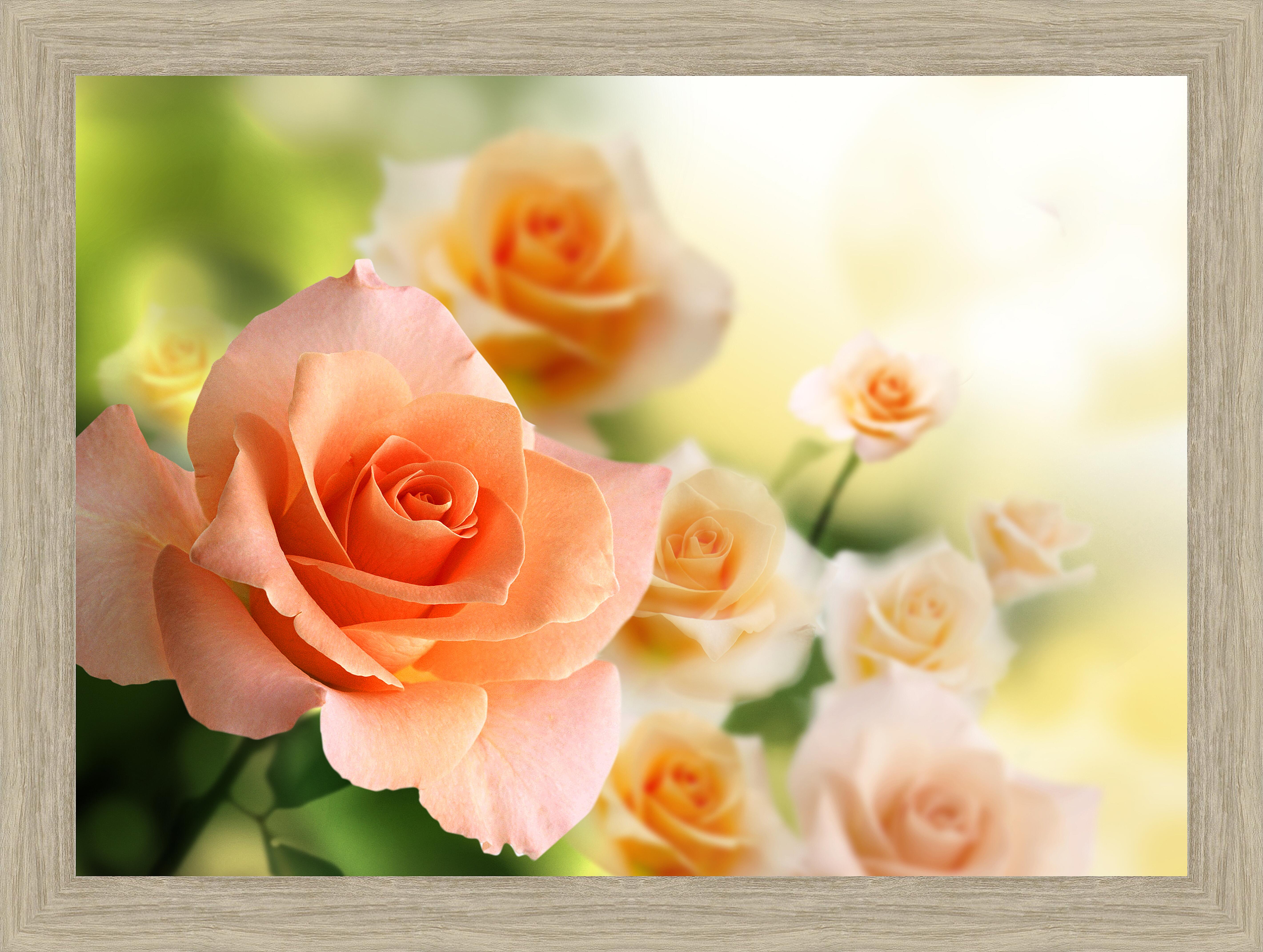 Картина - Нежно-оранжевые розы 
