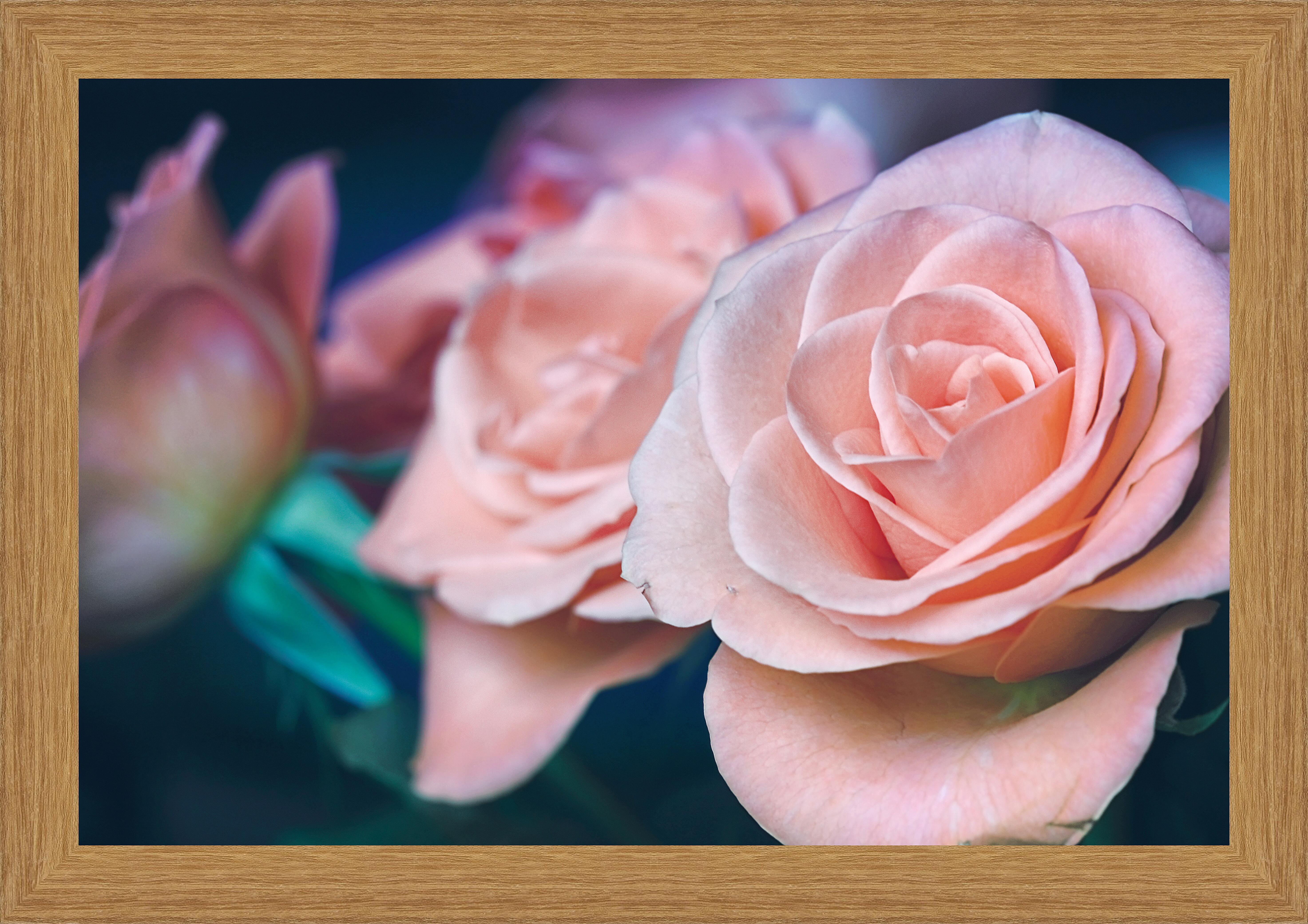 Картина - Пастельные розы 
