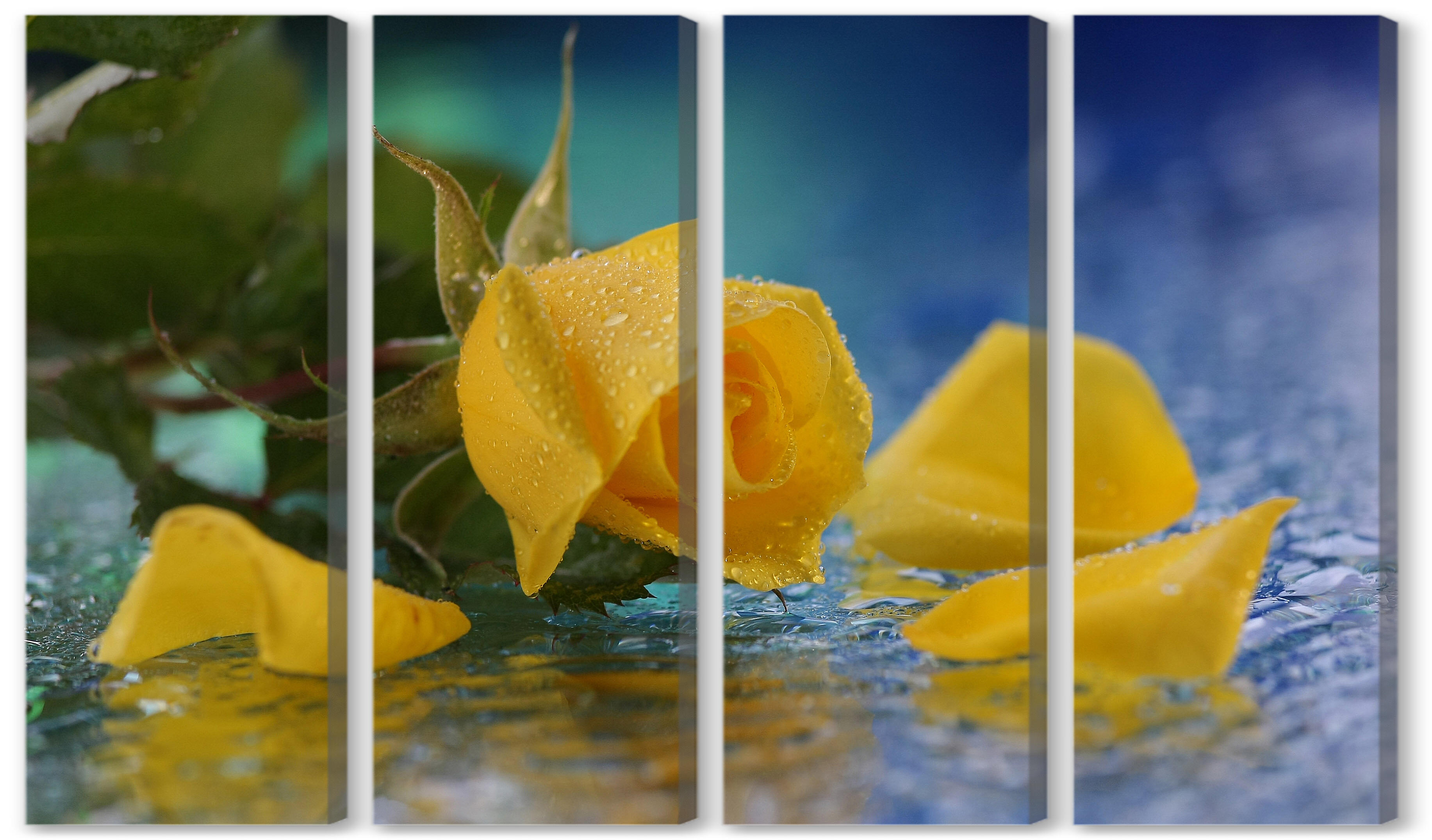 Модульная картина - Желтая роза 
