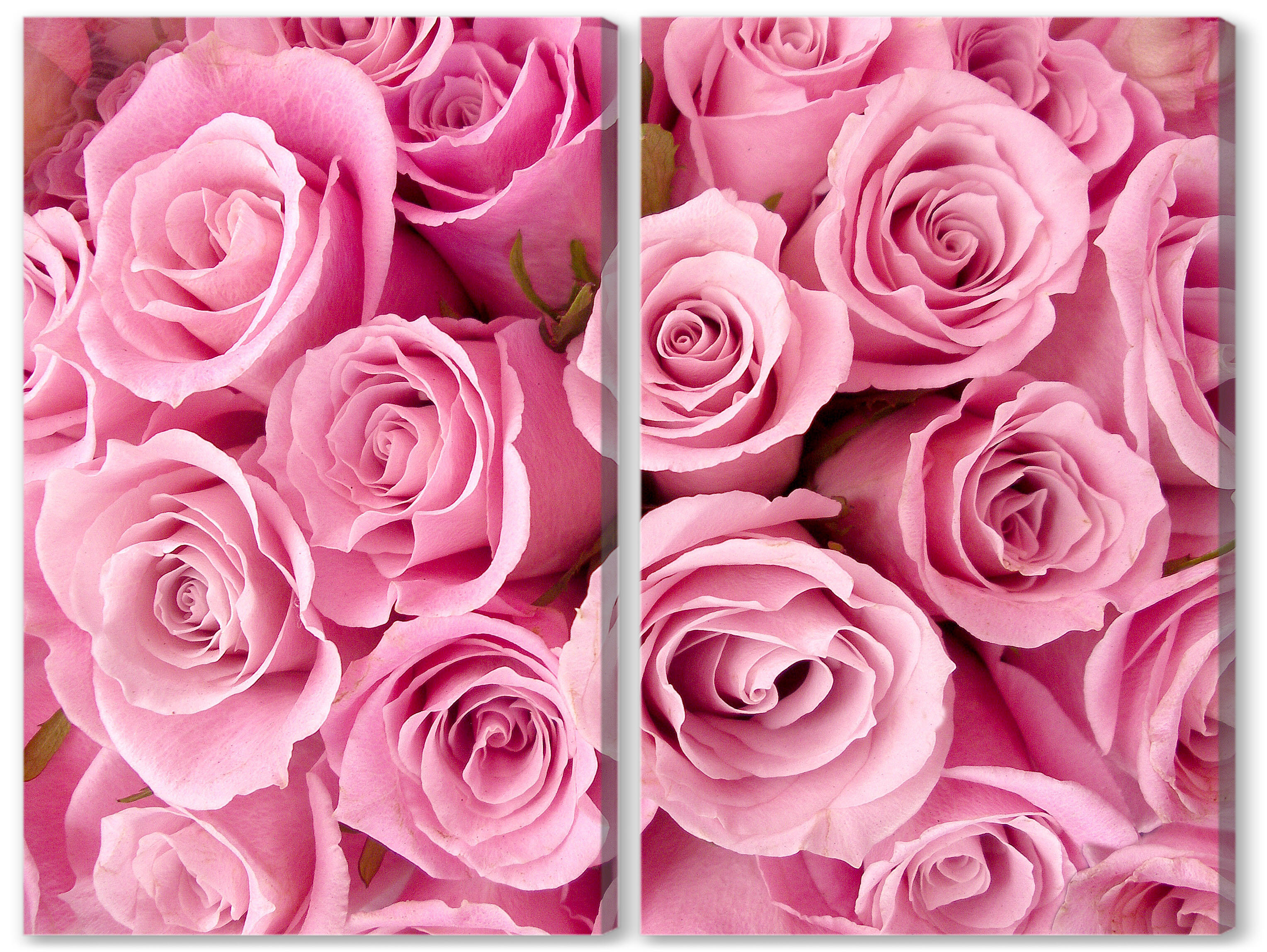 Модульная картина - Букет розовых роз 
