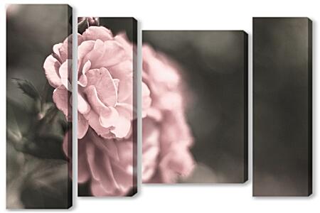 Модульная картина - Нежно-розовая роза