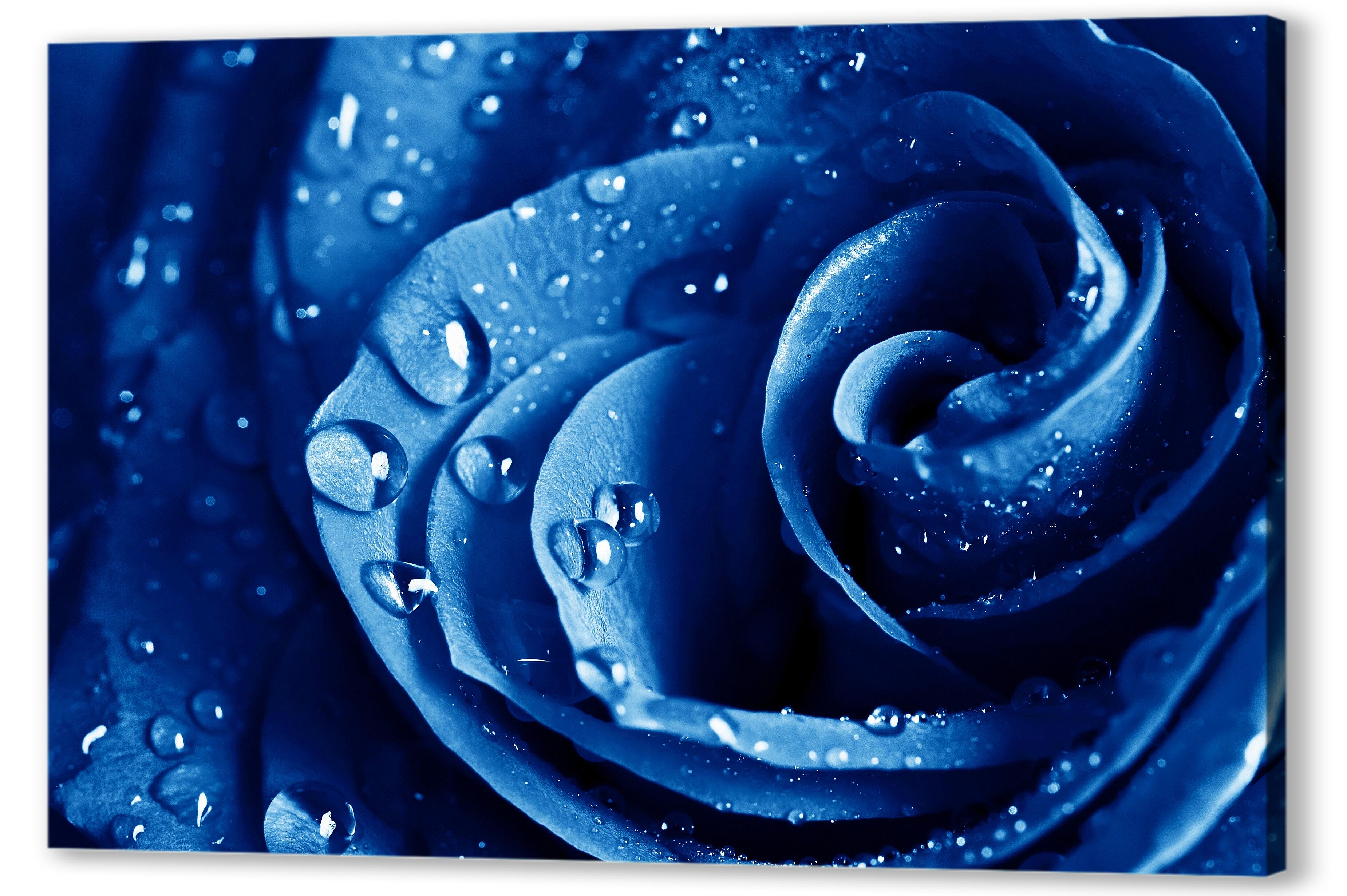 Постер (плакат) - Синяя роза 
