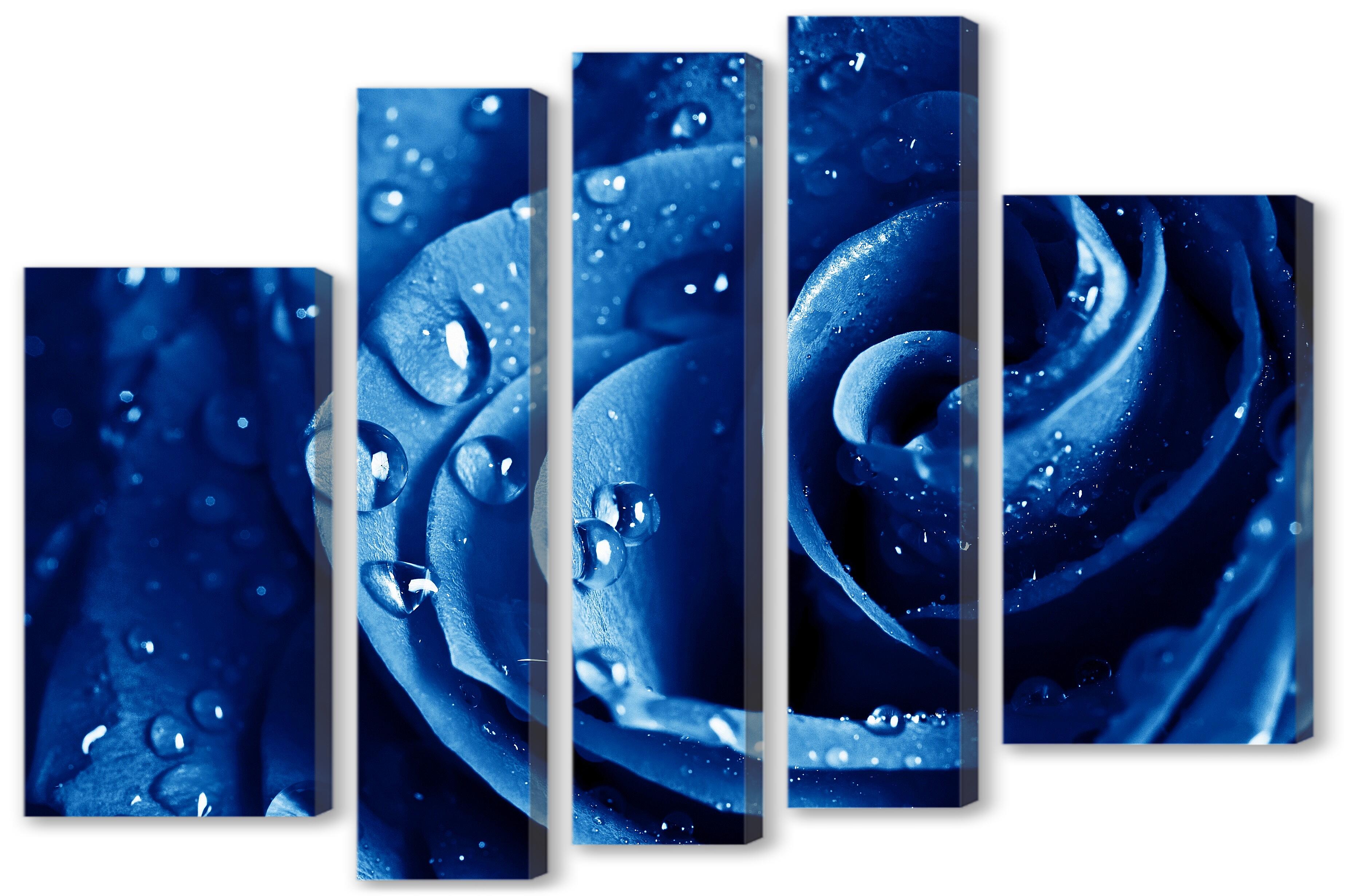 Модульная картина - Синяя роза 
