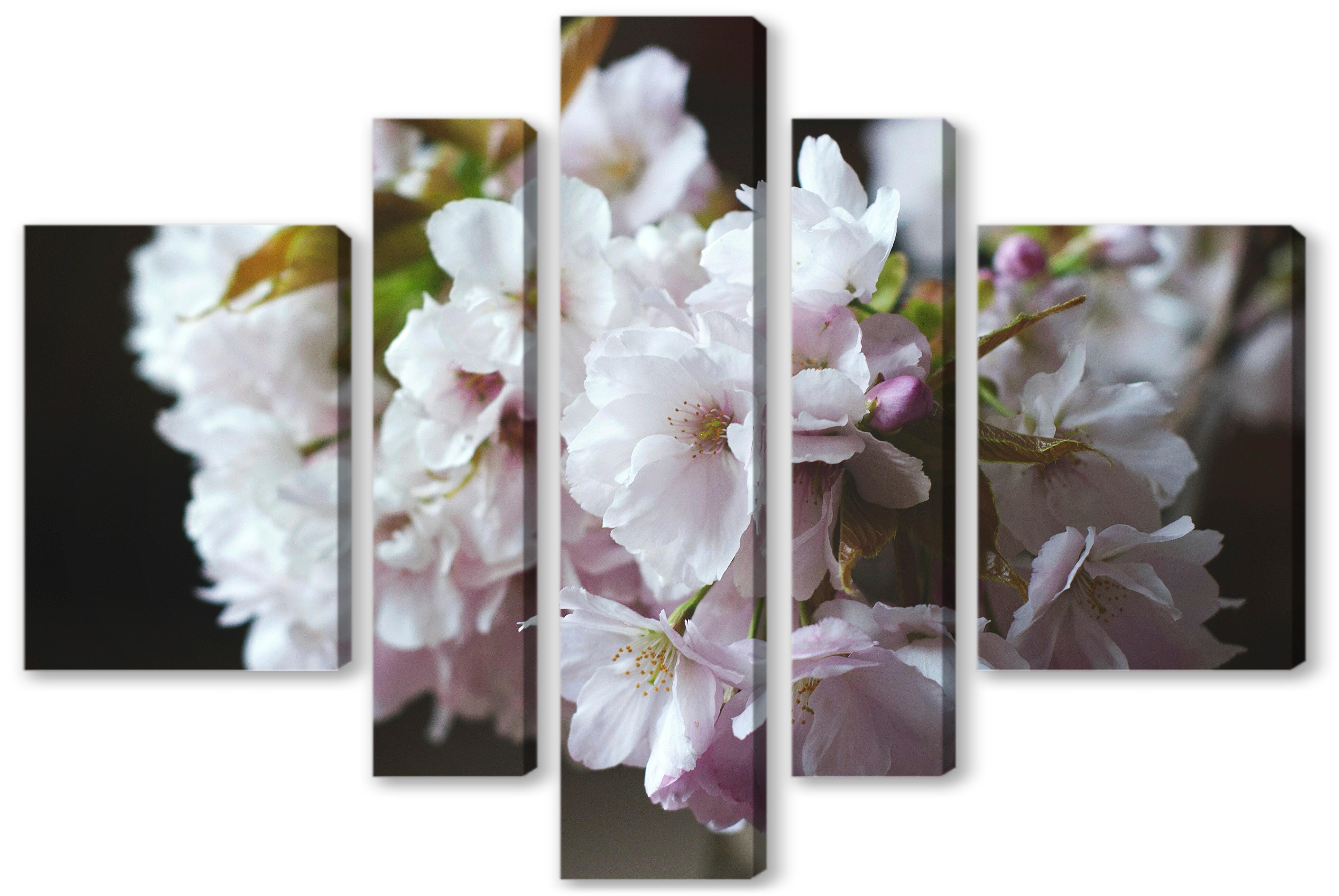Модульная картина - Цветы сакуры 
