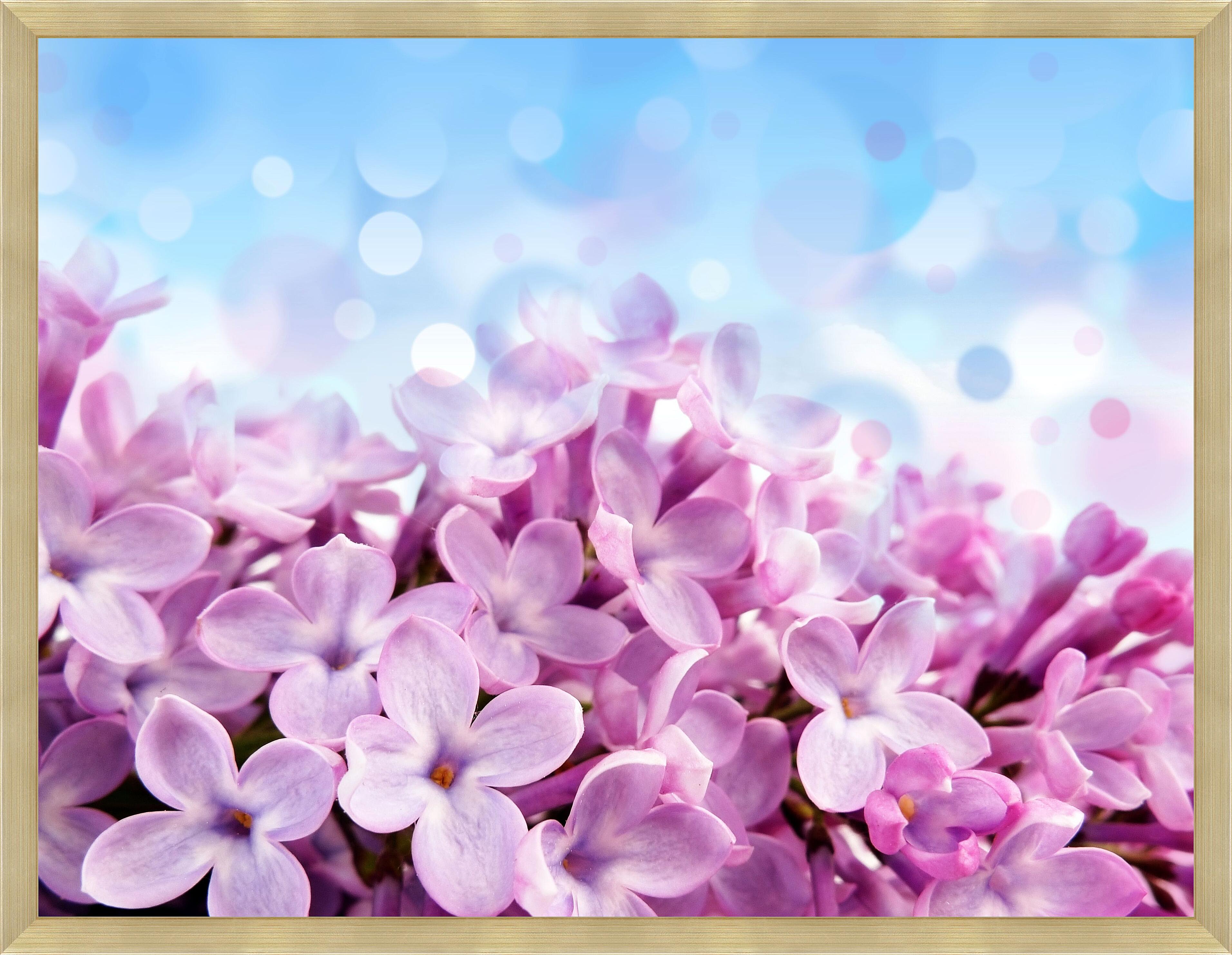 Картина - Лепестки сирени 
