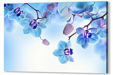 Картина маслом - Голубые орхидеи