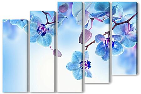 Модульная картина - Голубые орхидеи