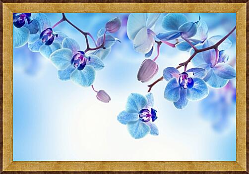 Картина - Голубые орхидеи