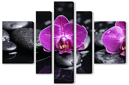 Модульная картина - Орхидеи и камни