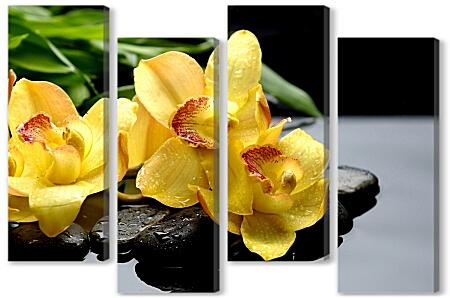 Модульная картина - Желтые орхидеи на камнях