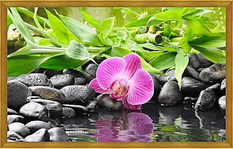 Картина - Розовая орхидея и камни
