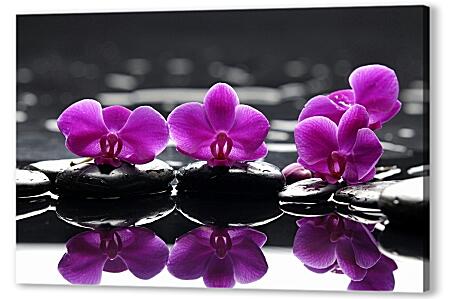 Картина маслом - Орхидеи на воде