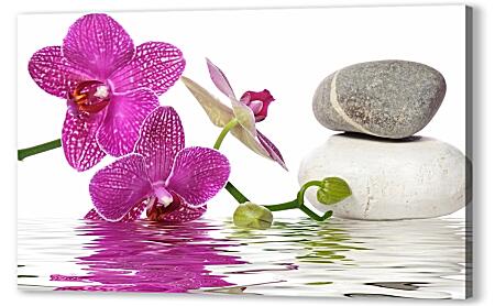 Картина маслом - Орхидеи для СПА