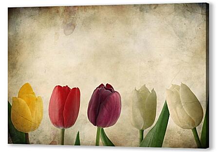 Картина маслом - Милые тюльпаны