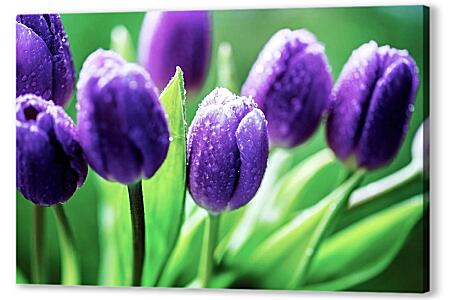 Картина маслом - Фиолетовые тюльпаны