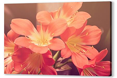 Постер (плакат) - Персиковые цветы