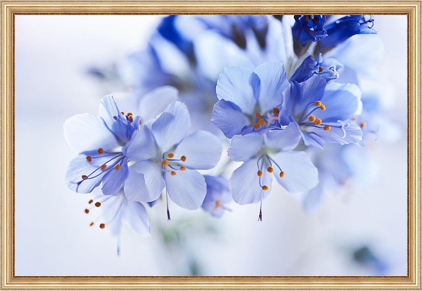 Картина - Голубые цветы