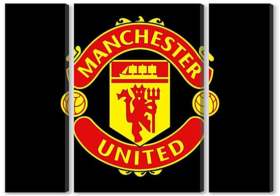 Модульная картина - Manchester United