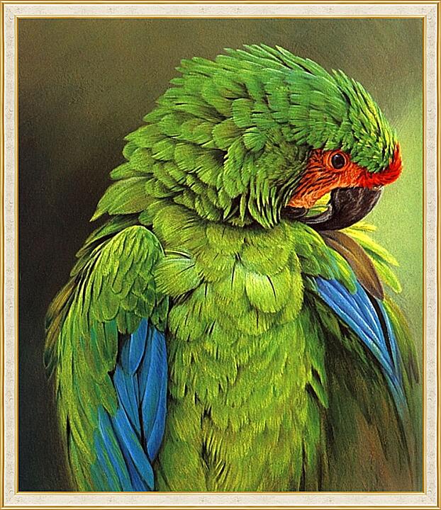 Картина - Зелёный ара