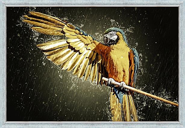 Картина - Попугай Ара