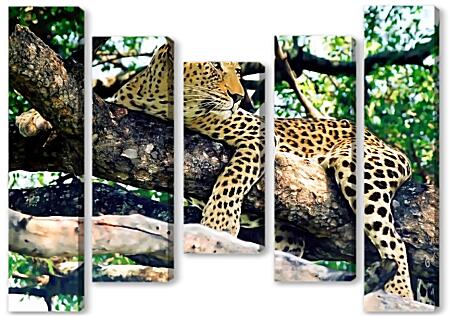 Модульная картина - Леопард на дереве