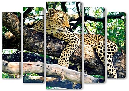Модульная картина - Леопард на дереве