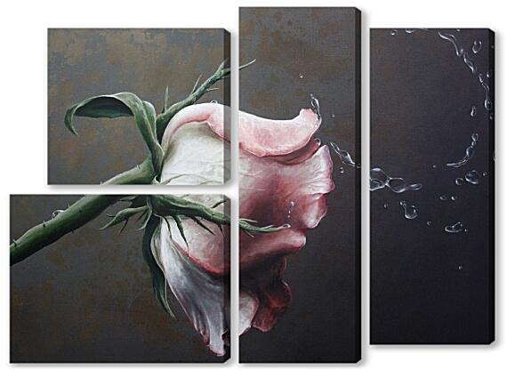 Модульная картина - Роза и капли воды