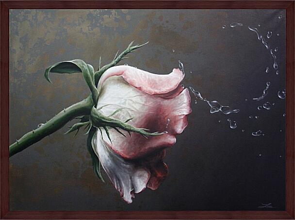 Картина - Роза и капли воды