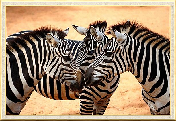 Картина - Сговор зебр
