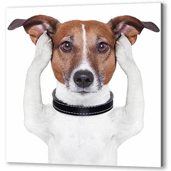 Картина маслом - Собака закрывает уши