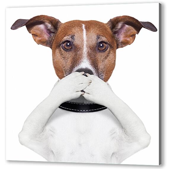Картина маслом - Собака закрывает рот