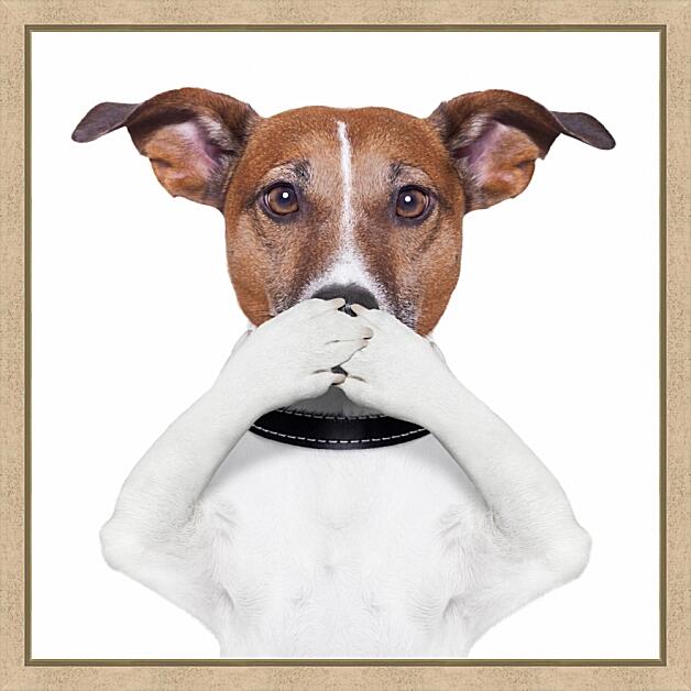 Картина - Собака закрывает рот