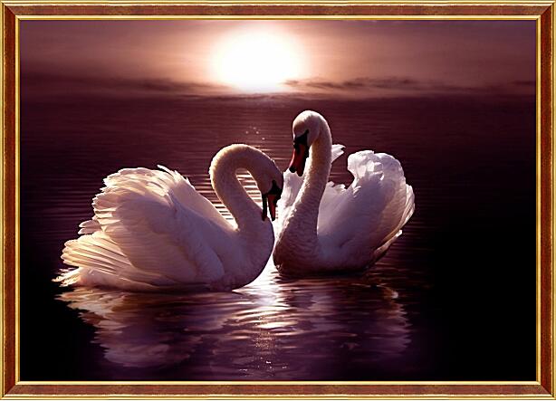 Картина - Лебеди на закате